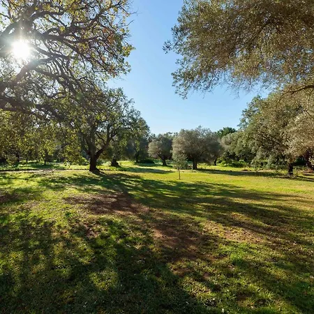 Ferienhaus Penthouse In Elviria